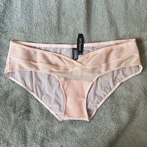 Sheer Nude Sparkle Shimmer Panties